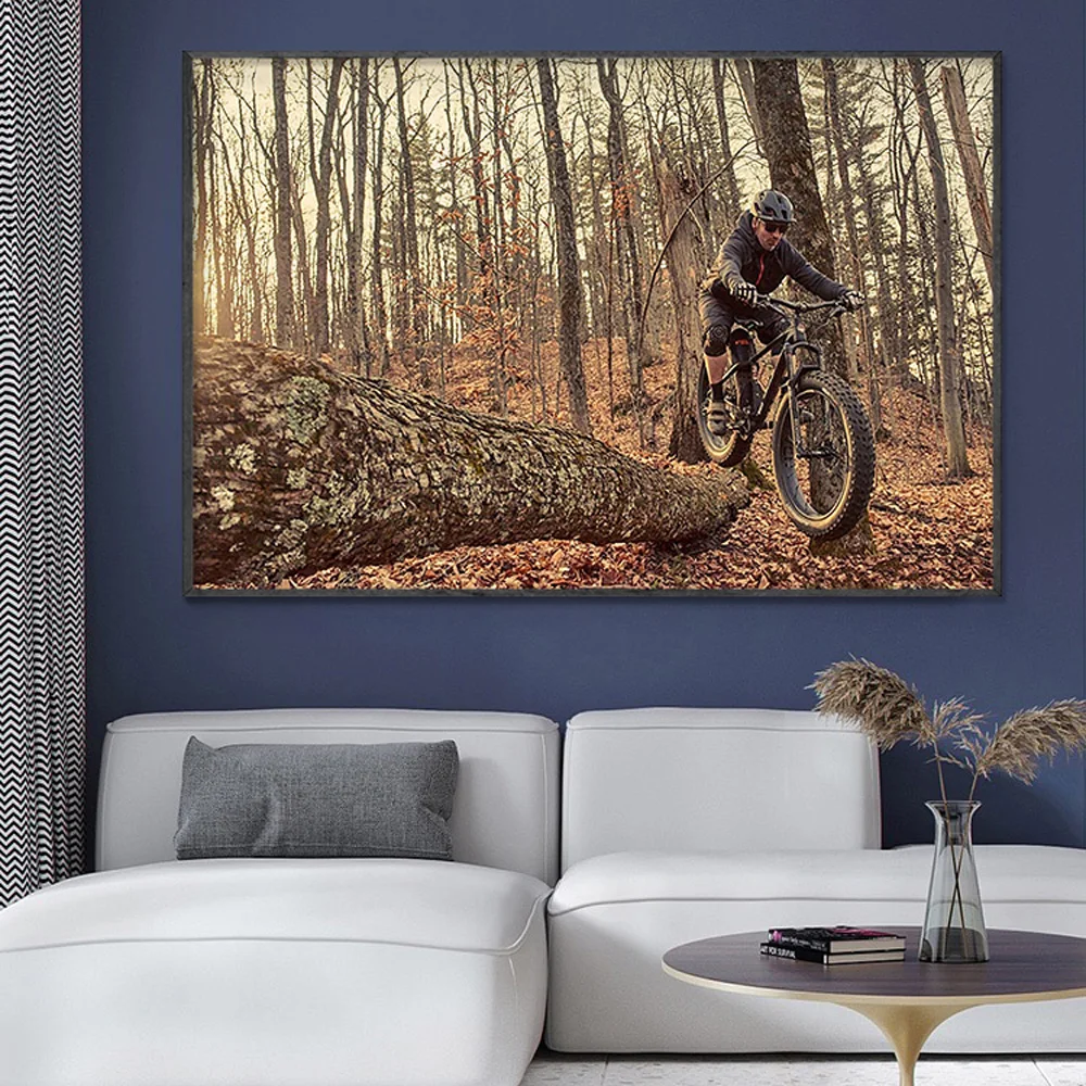 Mountain Biking Movies - SP082 Шелковая ткань, настенный постер, горный