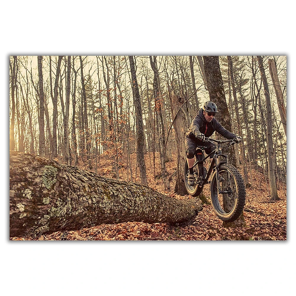SP082 Шелковая ткань, настенны – обзор и цена Mountain Biking Movies