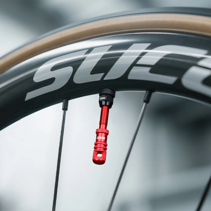 Вентиль Presta MUQZI для беска – обзор и цена Tubeless Valve Core