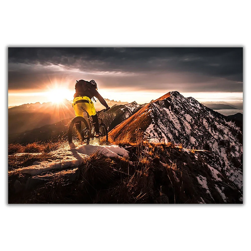 SP080 настенный постер из шелк – обзор и цена Mountain Biking Movies